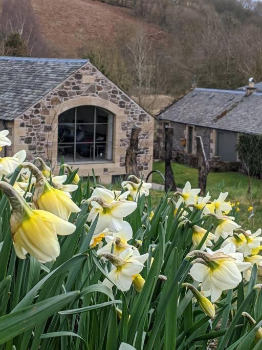 Apartamento Woodmill Arches - Designer Barn Conversion For Two Lindores Exterior foto